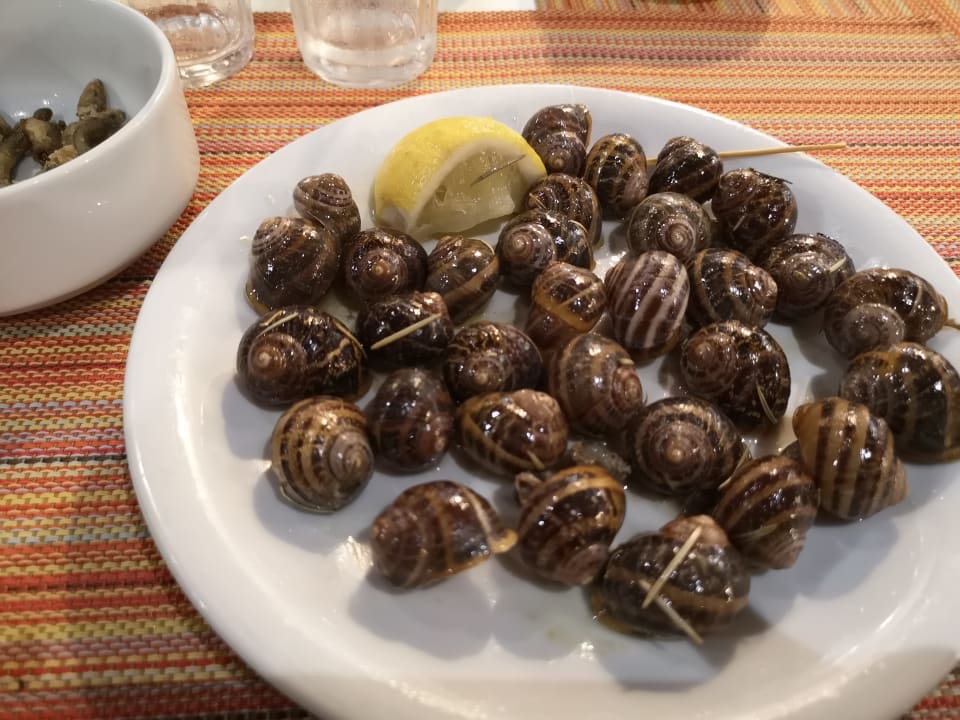 Gastro TUI SUNEO Chrissi Amoudia