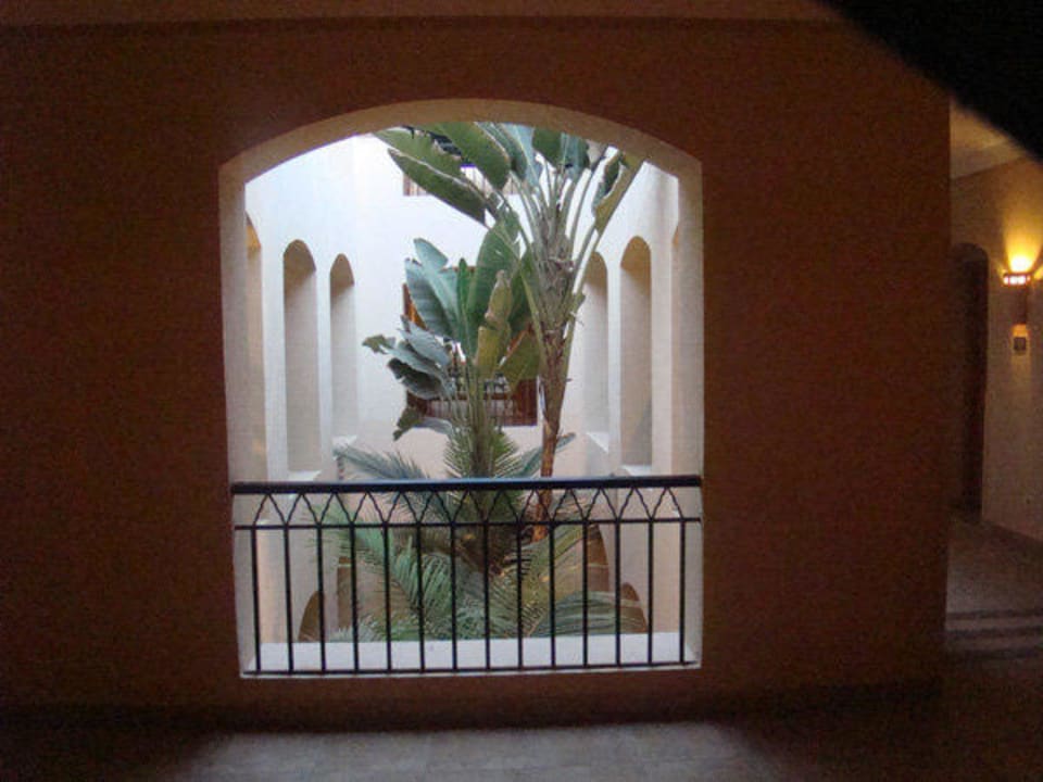 Innenbepflanzung Hotel JAZ Makadi Star & Spa