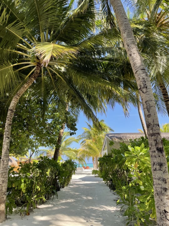 Gartenanlage LUX South Ari Atoll