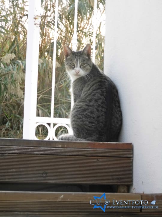 Sonstiges Castival Hotel