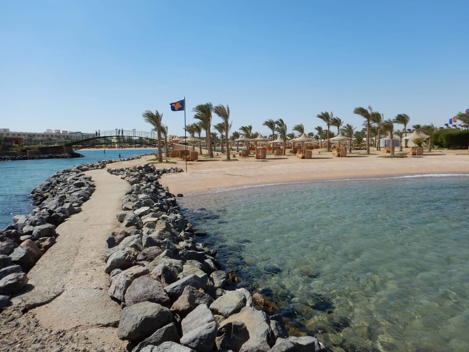 Einstieg ins Meer Desert Rose