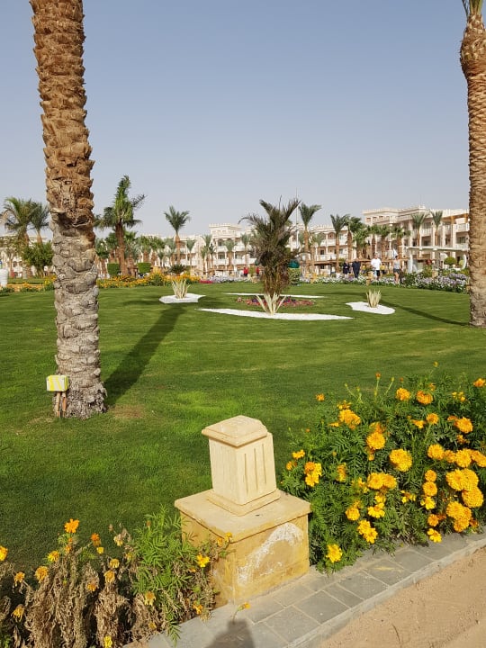 Gartenanlage Pickalbatros Palace Resort