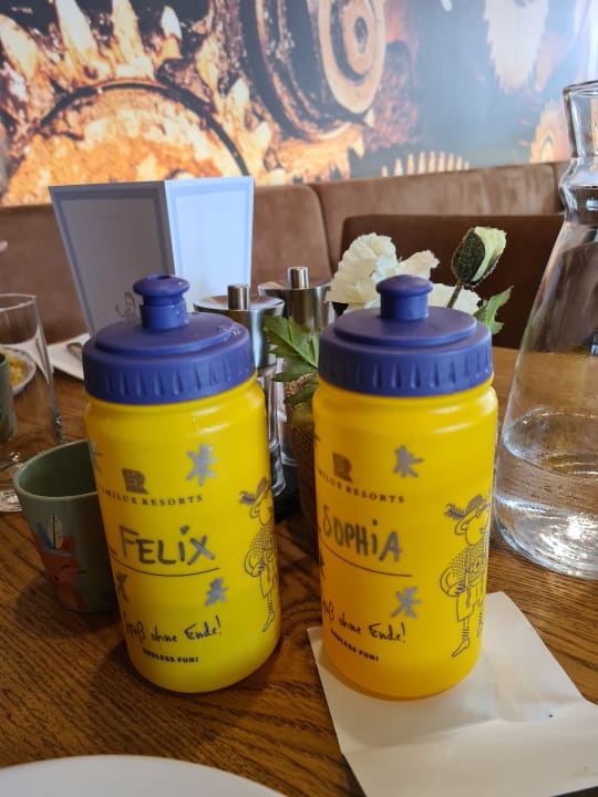 Sonstiges Dachsteinkönig - Familux Resort