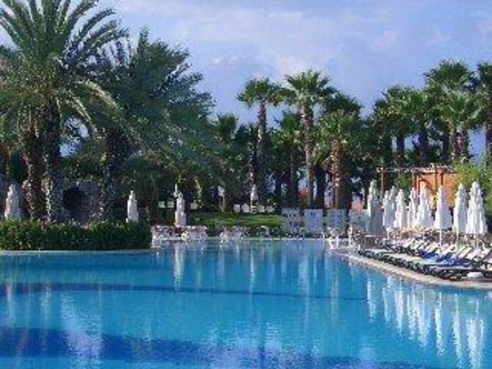 Activity Pool Monachus Family Resort Sorgun