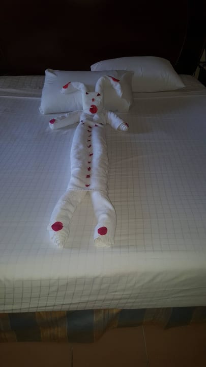 Mein Bettnachbar Stella Beach Resort & Spa Makadi Bay