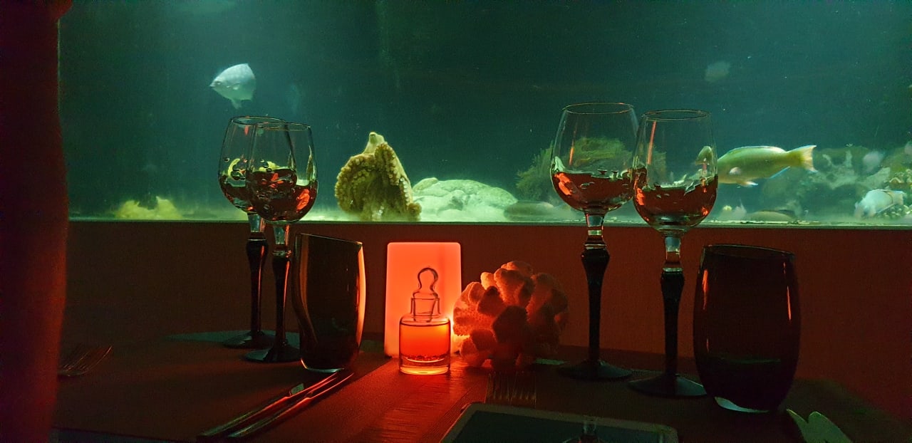 Gastro OZEN LIFE MAADHOO