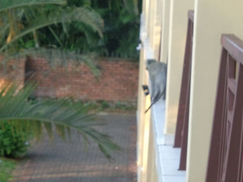 Außenansicht Elephant Lake Hotel