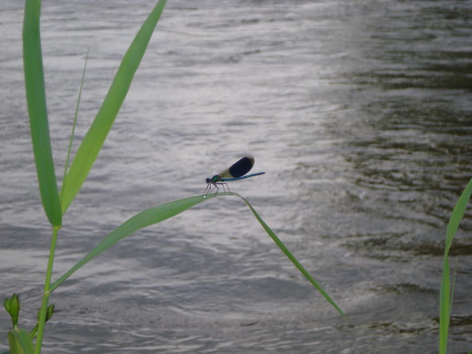 Natur pur Huberhof