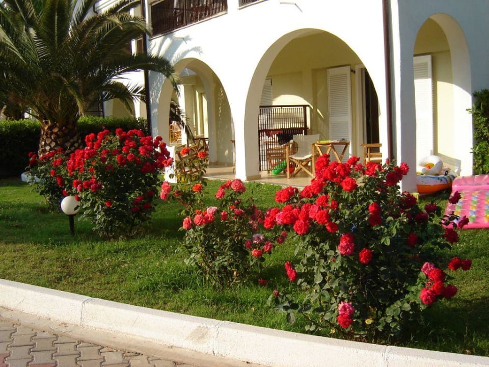 Hotel wsród  kwiatów Alexandra Beach Thassos Spa Resort