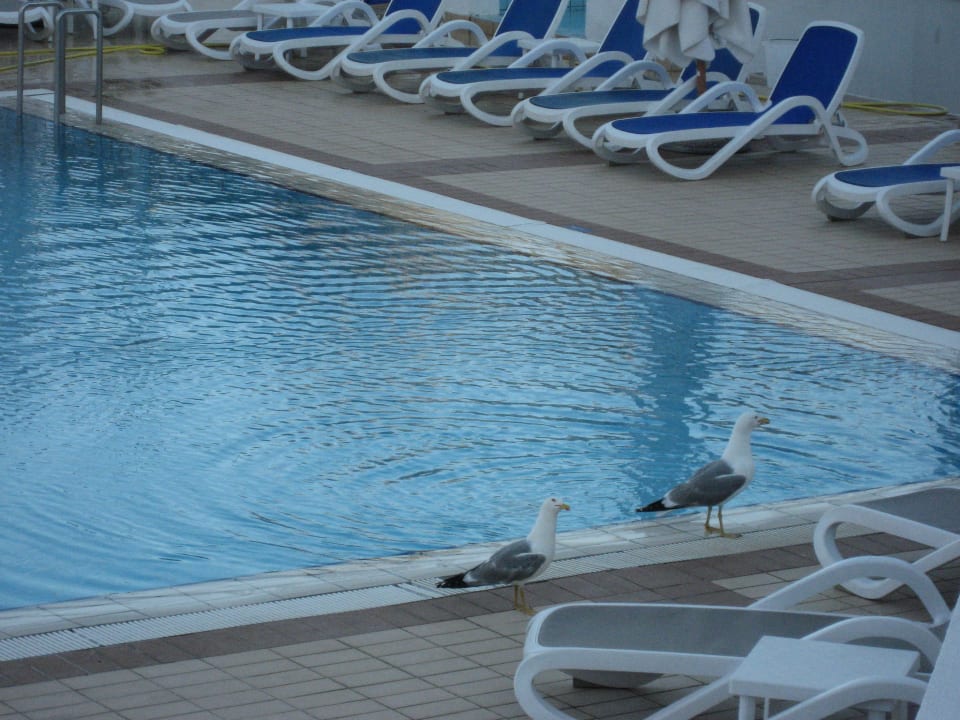 Pool Maistra Select Funtana All Inclusive Resort