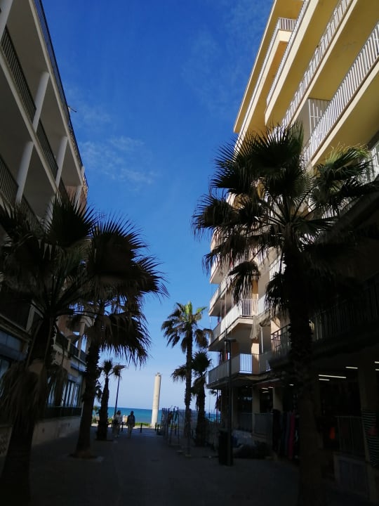 Strand MLL Palma Bay Club Resort