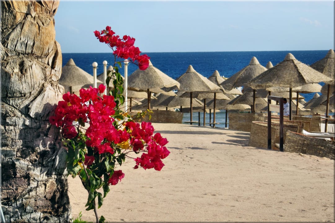 Blick auf Meer Serenity Alpha Beach