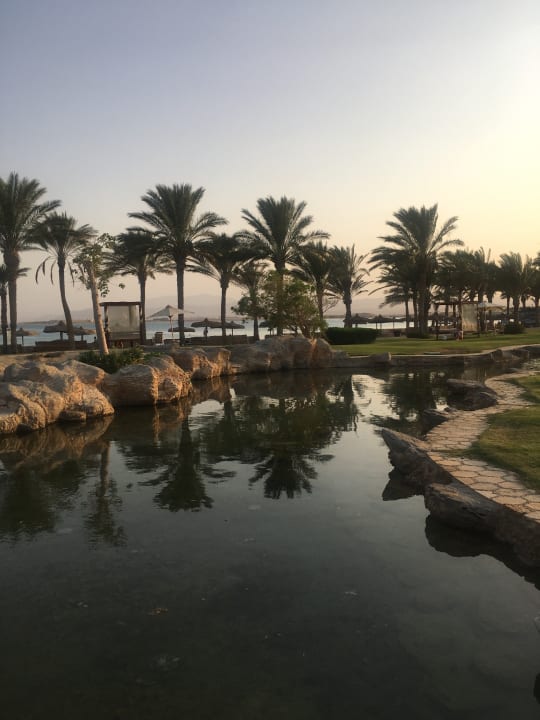 Außenansicht Palm Royale Resort - Soma Bay