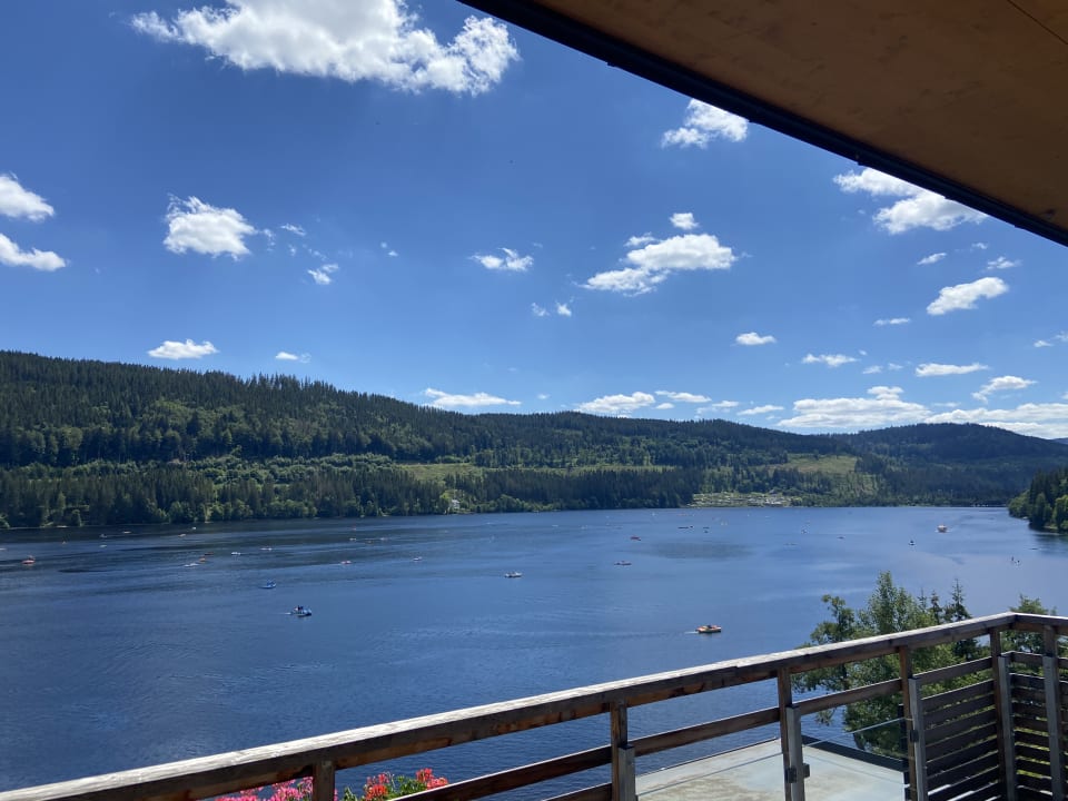 Ausblick Seehotel Wiesler