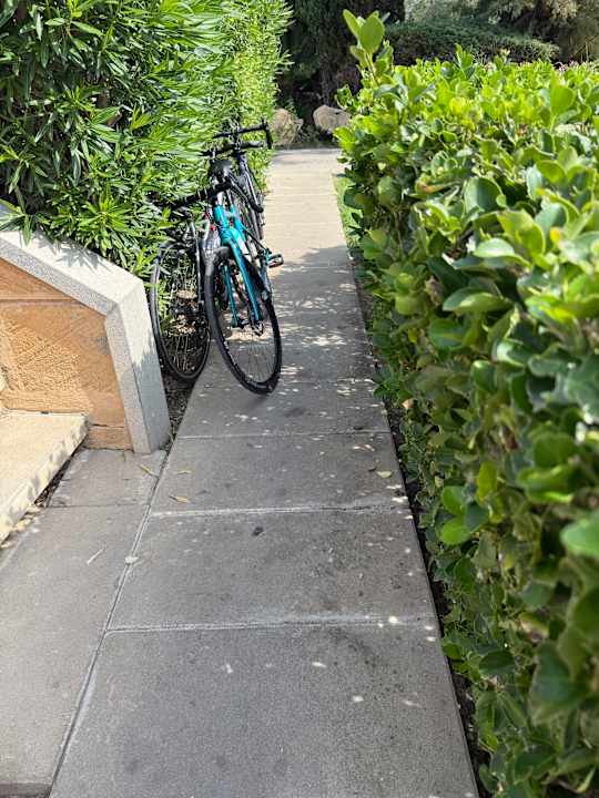 Gartenanlage PortBlue Club Pollentia Resort & Spa