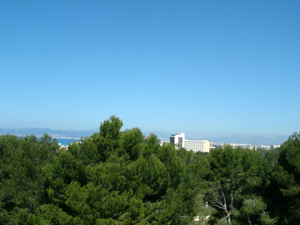 Blick vom Balkon Grupotel Orient