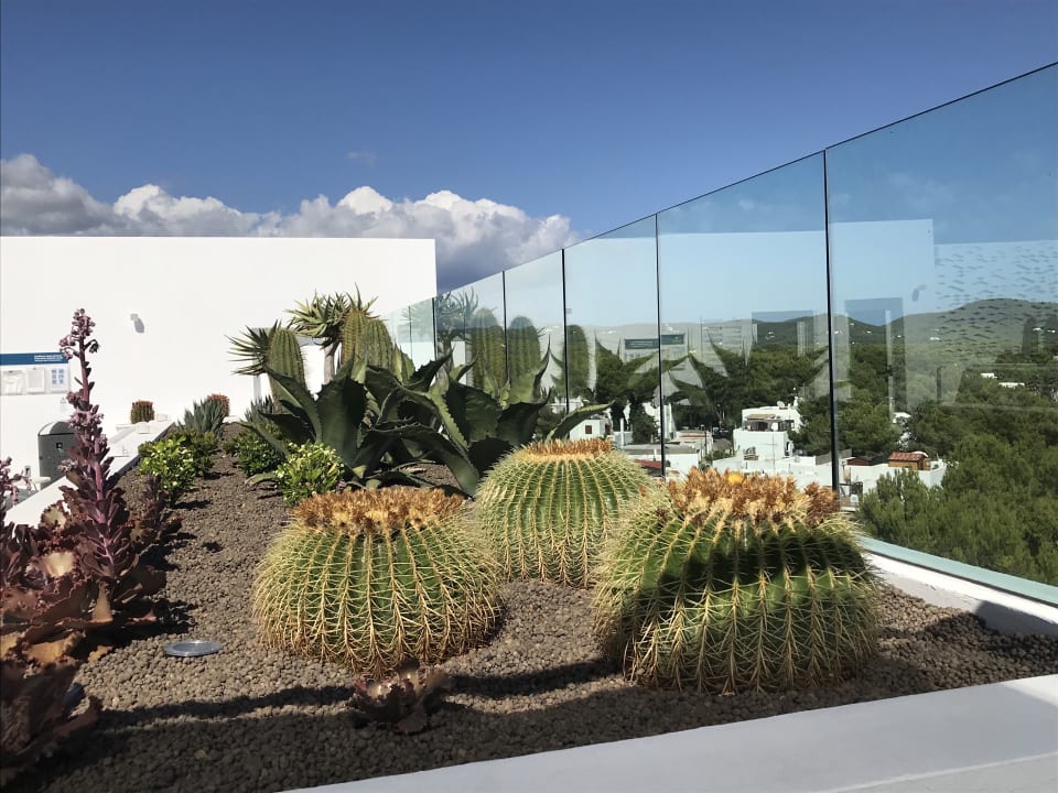 Pool Iberostar Selection Santa Eulalia Ibiza