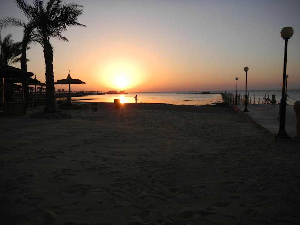Sonnenaufgang Pickalbatros Palace Resort