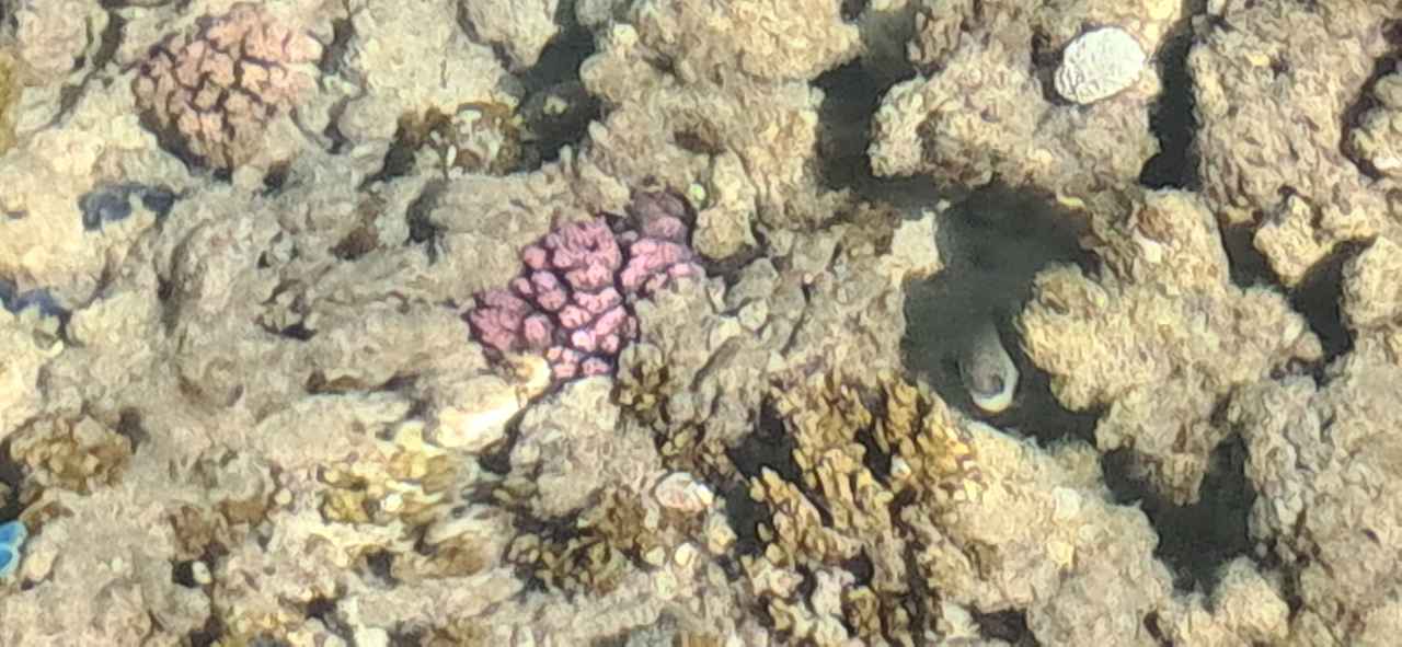 Sonstiges Stella Beach Resort & Spa Makadi Bay