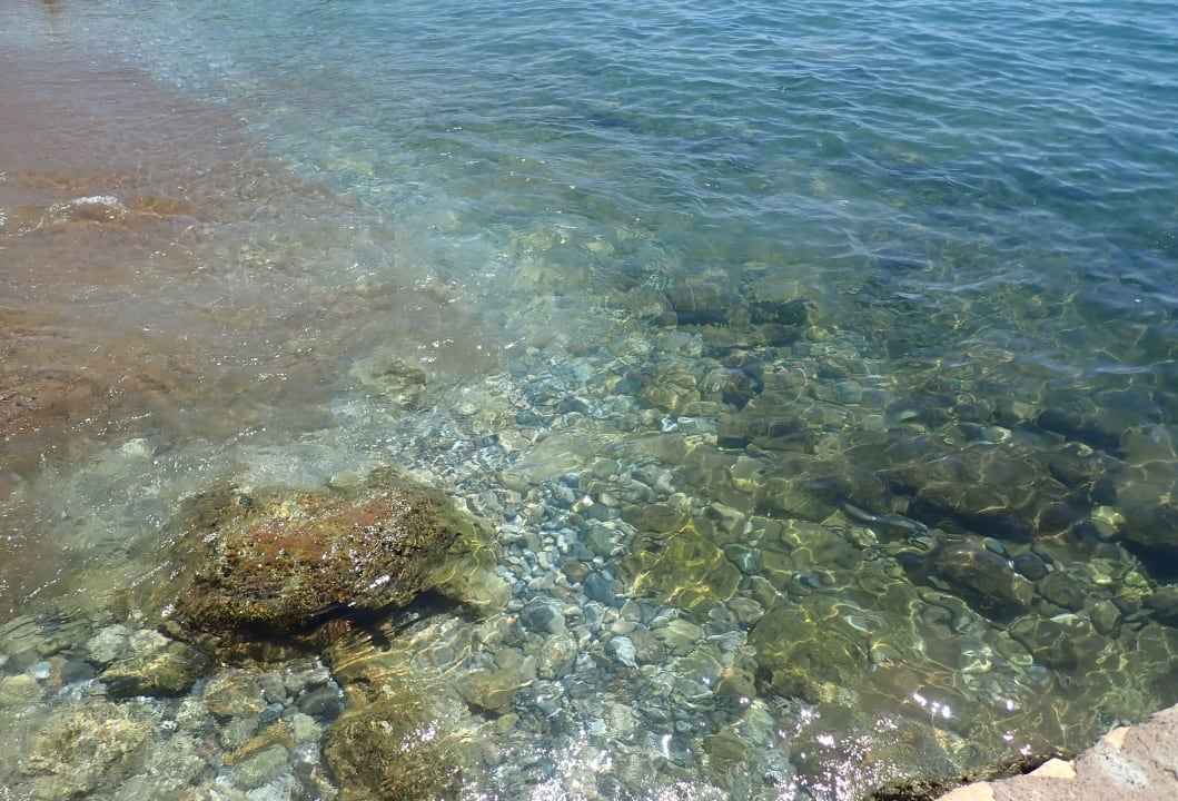 Strand Rubi Platinum Sign