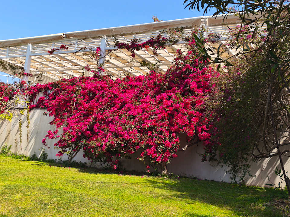 Strand Can Garden Resort