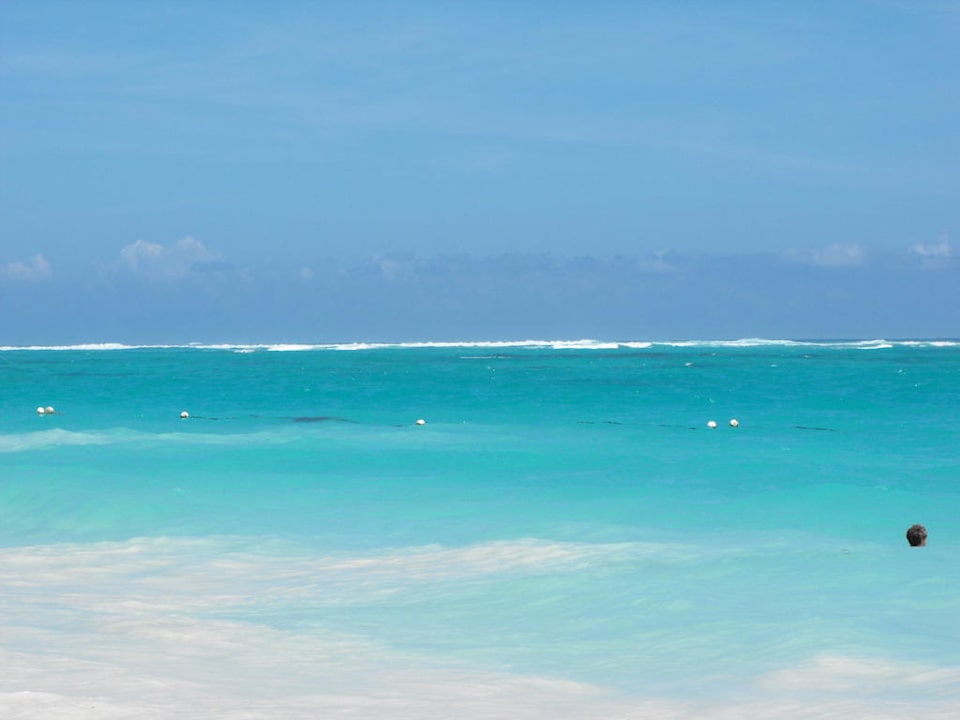 Wunderschöne Farben Grand Palladium Select Bávaro Resort & Spa