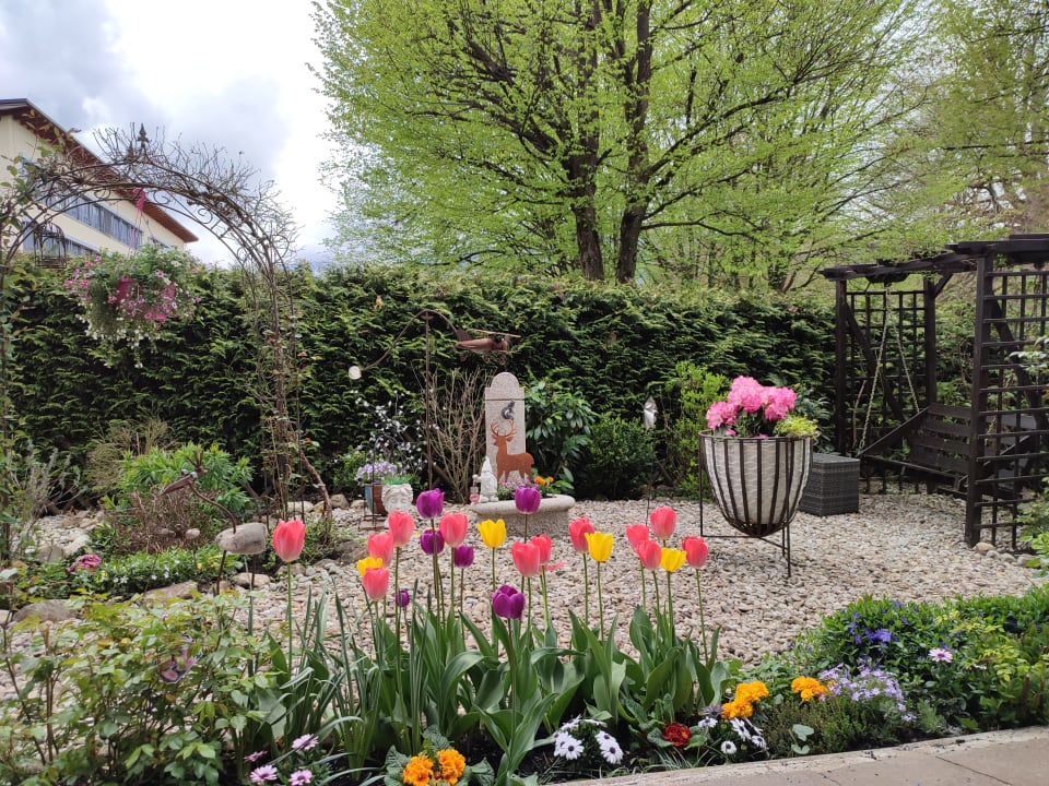 Gartenanlage Ferienwohnungen Rebstöckle