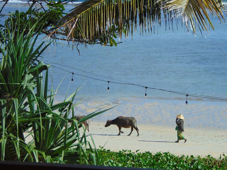 Strand Amber Lombok Beach Resort