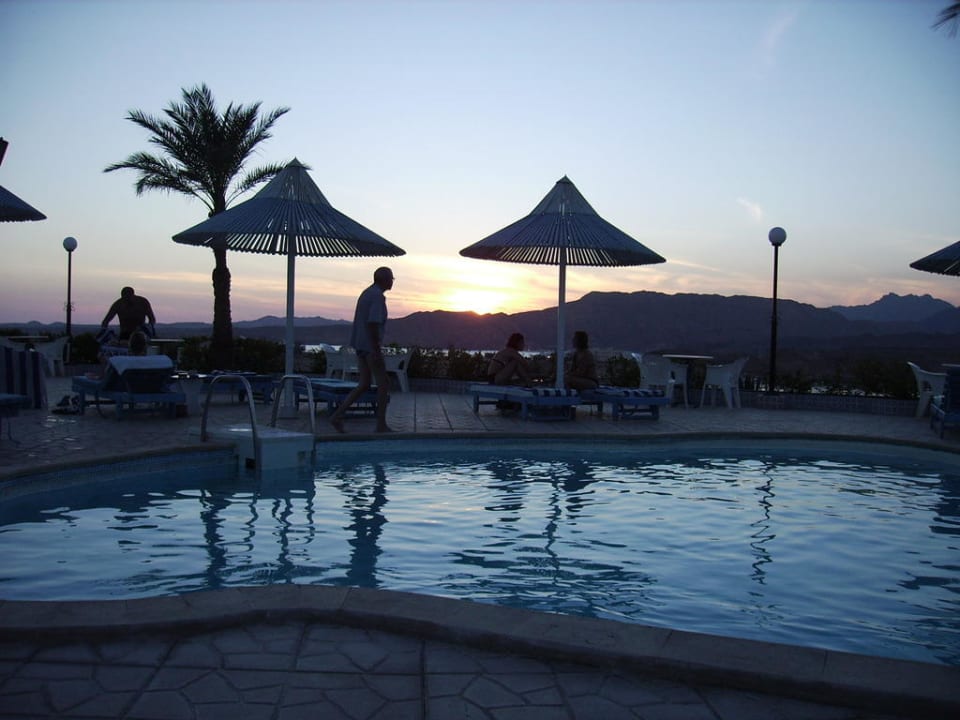 Unser Pool Albatros Sharm Resort