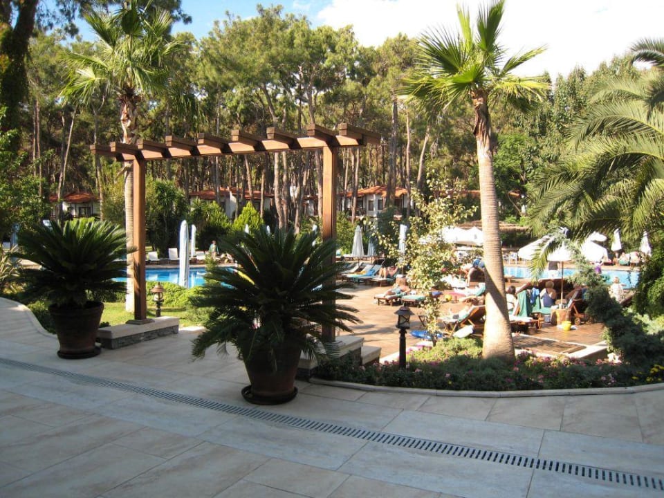 Ruhepool Voyage Sorgun