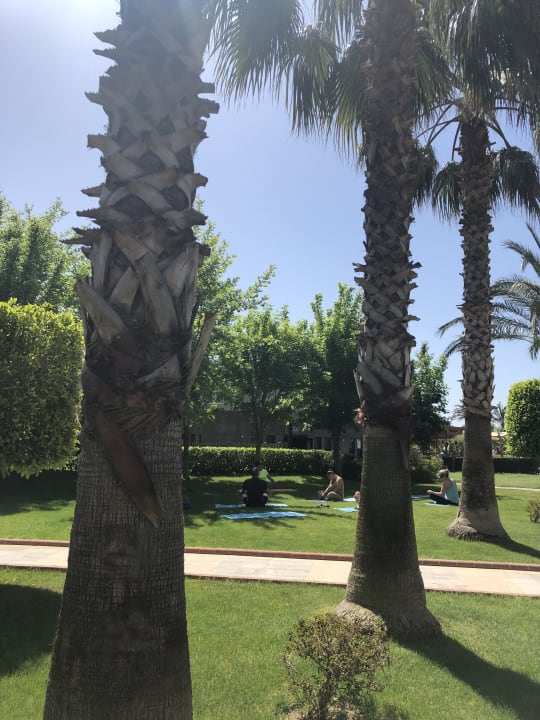 Gartenanlage Sherwood Exclusive Lara