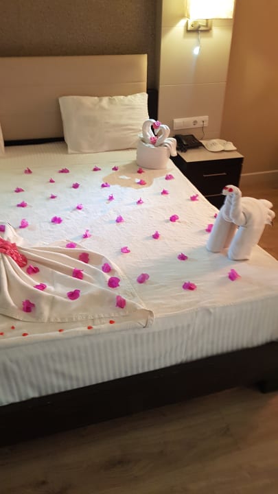 Zimmer Aria Claros Beach & Spa Resort