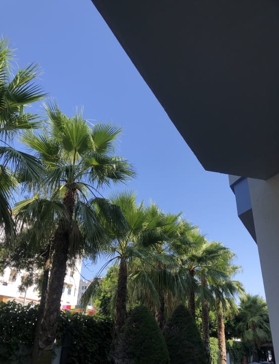 Ausblick Grand Seker Hotel