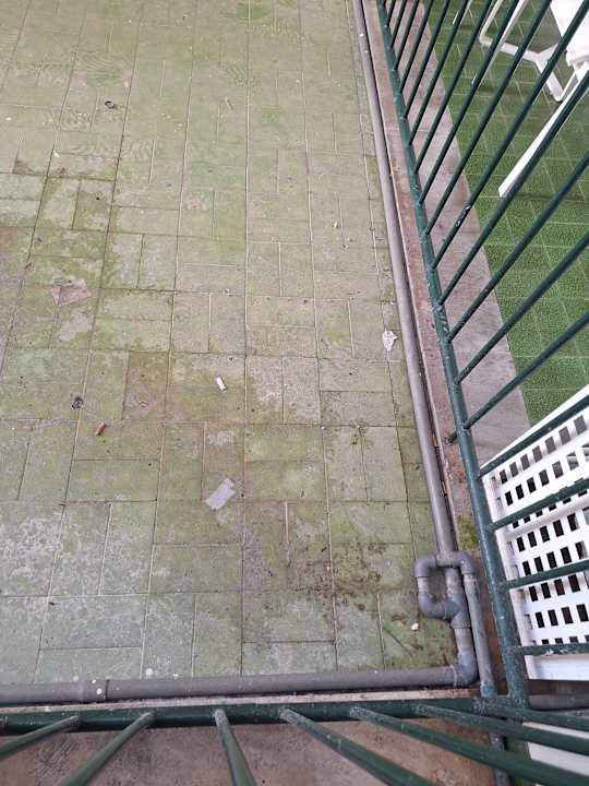 Ausblick whala!beach