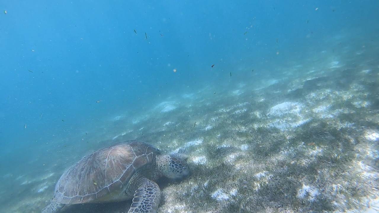 Strand Kuredu Island Resort & Spa