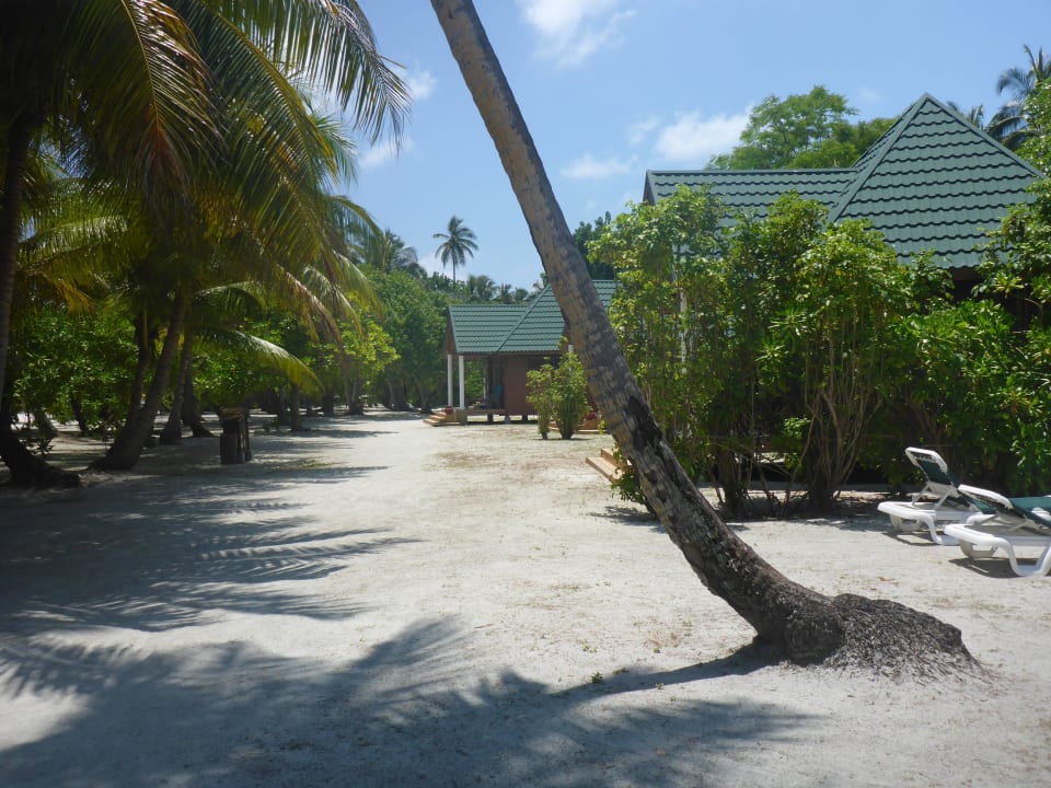 400er Reihe Beachbungis Meeru Maldives Resort Island