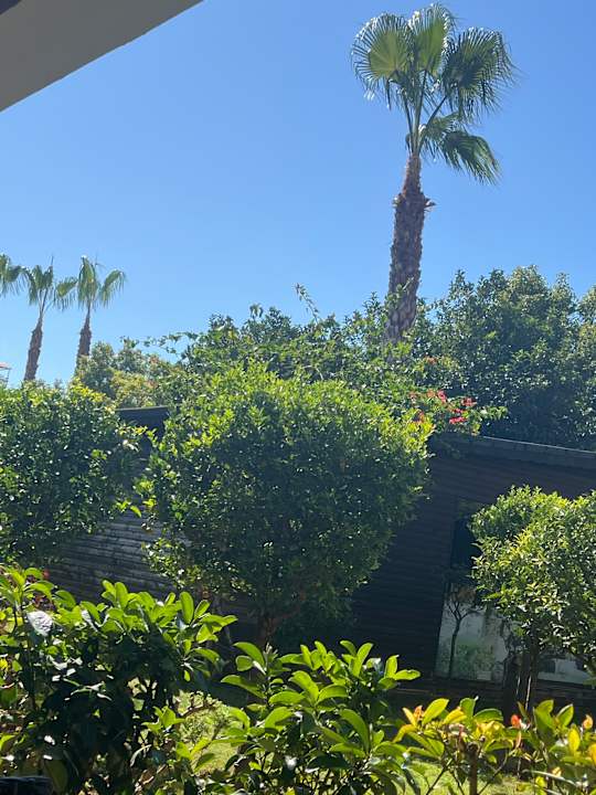 Gartenanlage Adalya Elite Lara