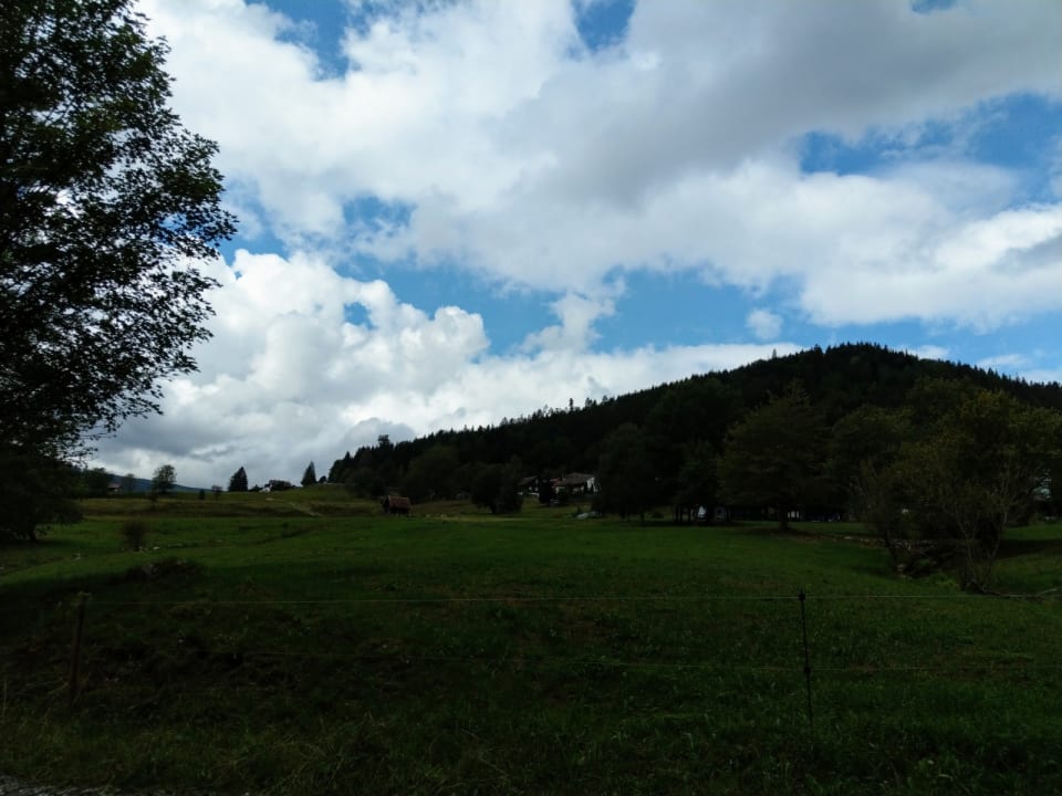 Ausblick Schwarzwaldhotel-Gasthof Hirsch