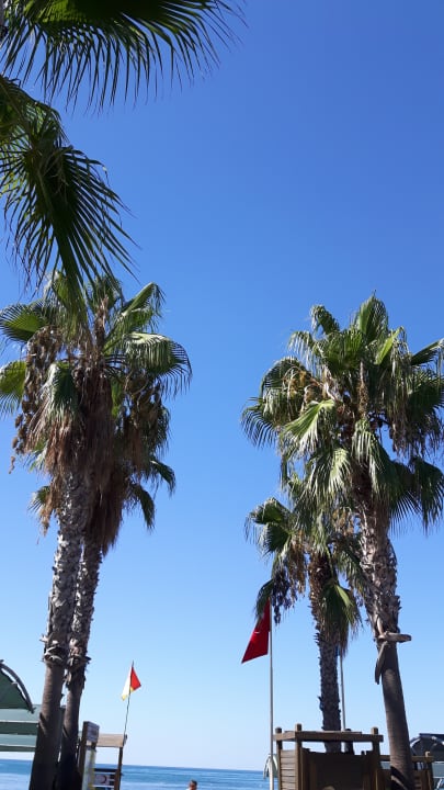 Strand Trendy Palm Beach (Adults Only, 16+)