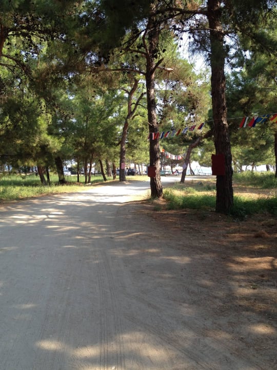 Weg zum Strand Hotel Artemis