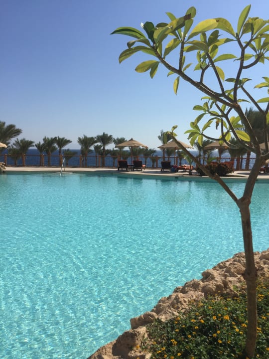 Pool The Grand Hotel Sharm El Sheikh