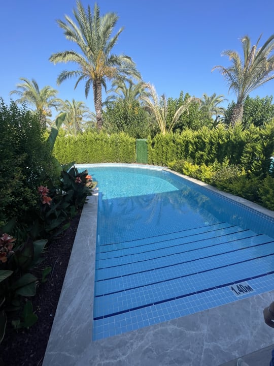 Zimmer Royal Wings Hotel