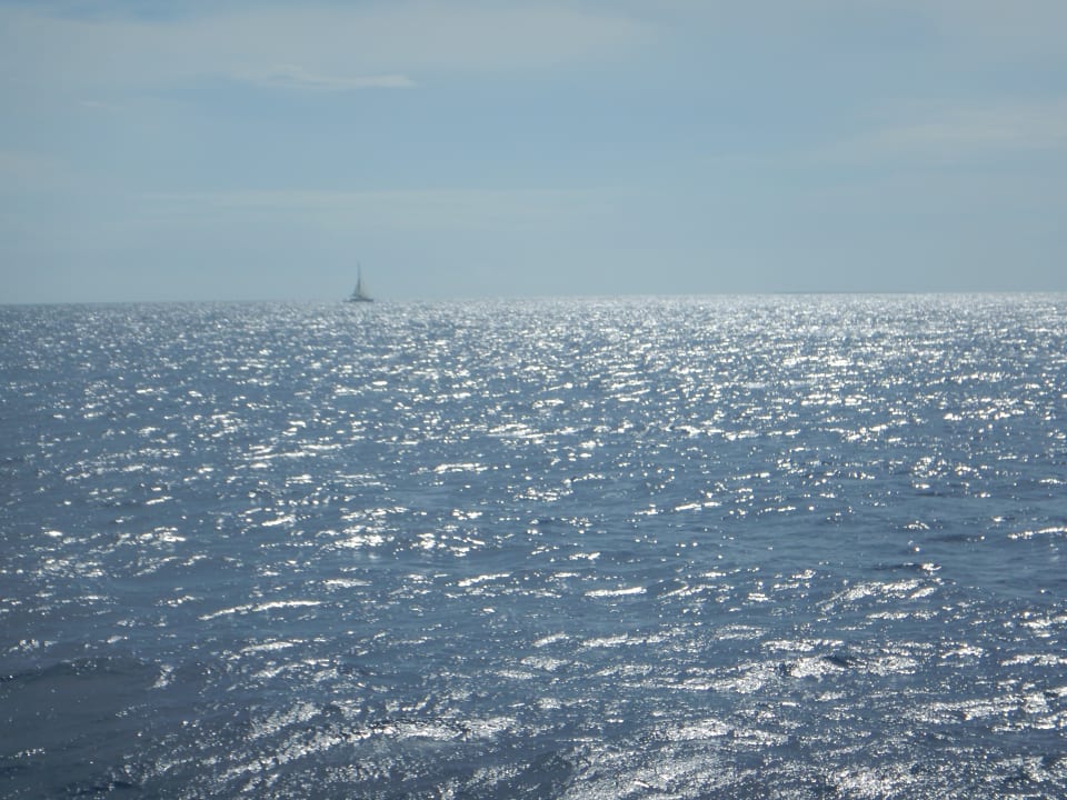 Ausblick Hotel Viva Dominicus Beach by Wyndham - All Inclusive Resort