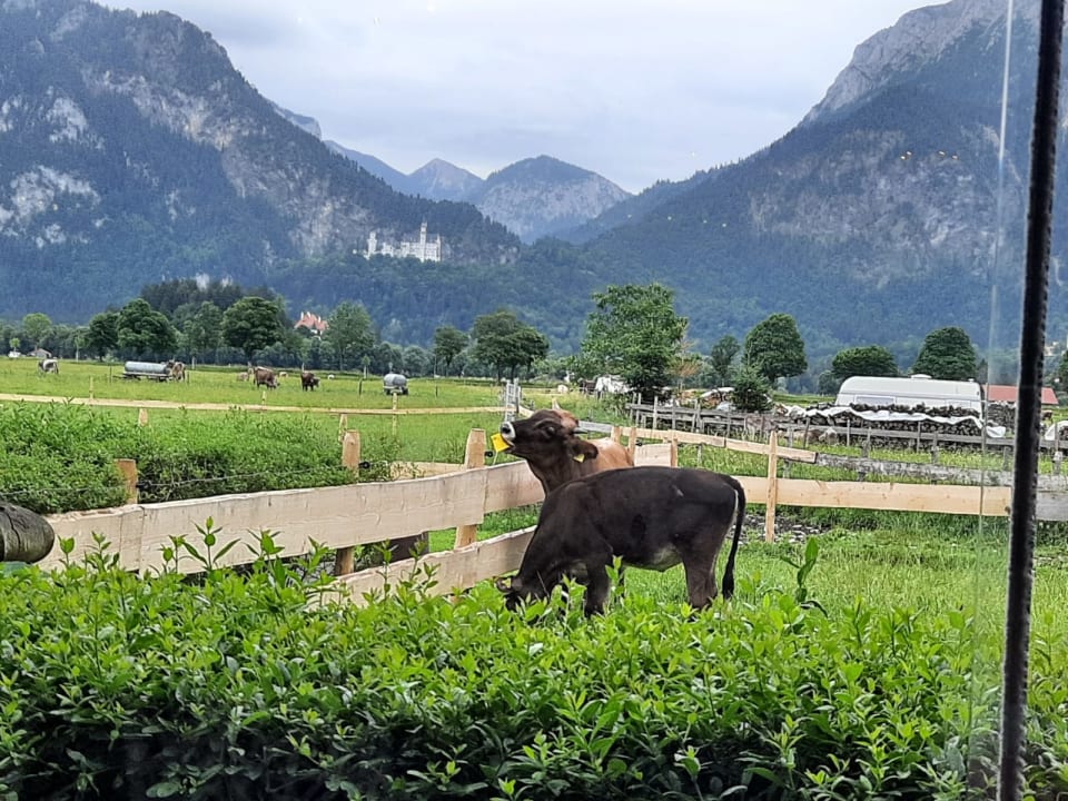 Ausblick Hotel Das Rübezahl