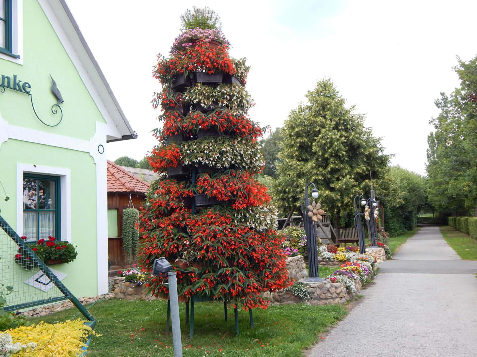 Wunderschöne Bepflanzungen Hotel-Restaurant Teuschler-Mogg