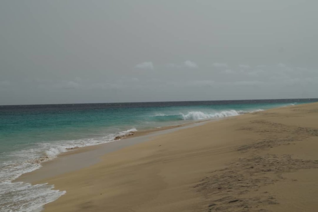 Plaża i ocean Oasis Salinas Sea