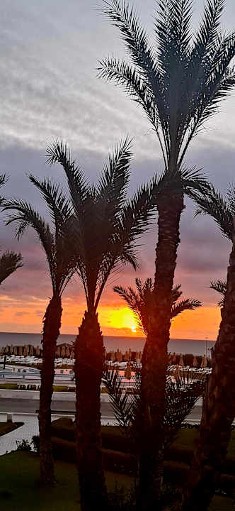 Ausblick Iberostar Waves Averroes