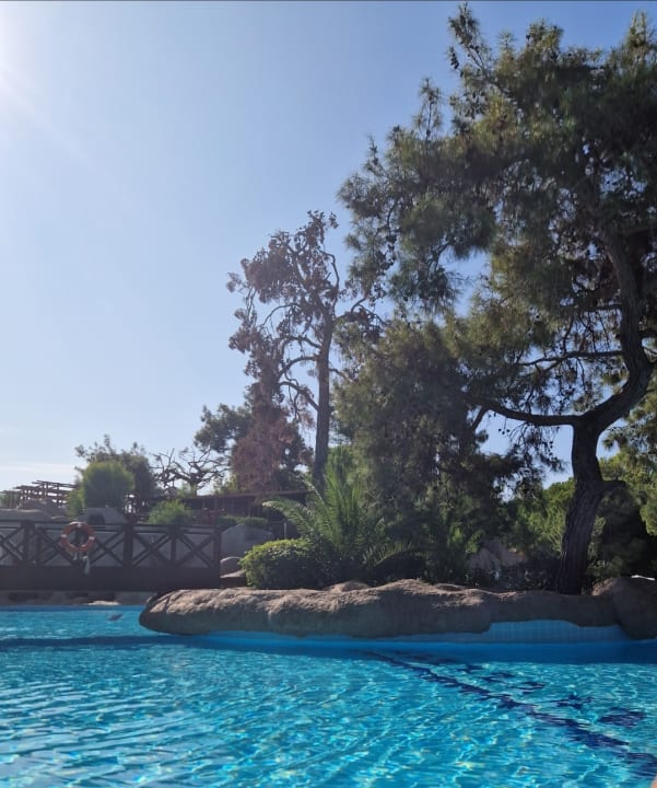 Pool Blue Waters Club
