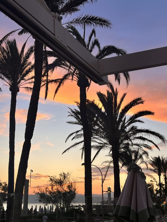 Gartenanlage Myseahouse Flamingo - Adults only