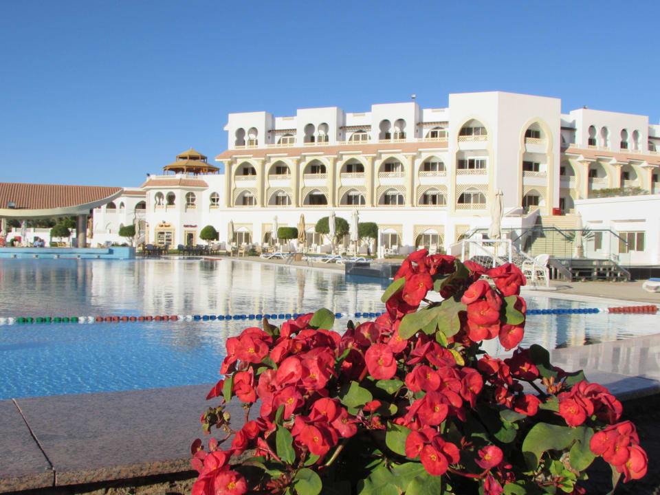 Blick vom Pool Old Palace Resort Sahl Hasheesh